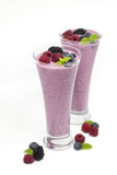 CarbZone® Vegan Protein - Berry Blast Shake (500g)